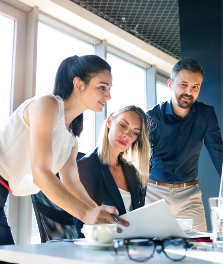 Fato TI — colaboração